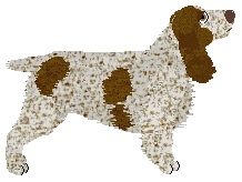 Energizing Bad Boy — “James”