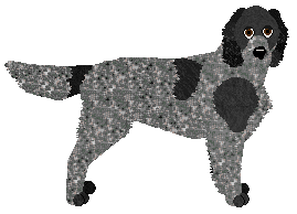 Profile image of Energizing Final Line