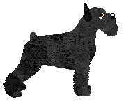 Mirror Blue's Fixed and Finished — “Heidrun”