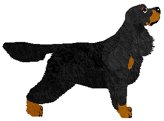 SettFever Mary Poppins — “Marry”