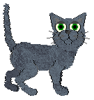 Profile image of Loveshack Accomplice