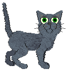 Loveshack Bronx Coctail — “Yonee”