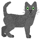 Loveshack Capitan Morgan — “Papuga”