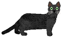 Profile image of Loveshack Capitan Morgan