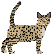 Loveshack The Third — “Amnezja”