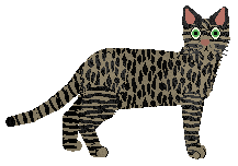 Loveshack Daiquiri — “Predator”