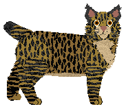 Profile image of Loveshack Till The End