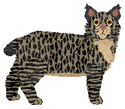 Loveshack White Collar — “Diana”