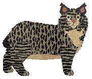 Loveshack Luxemburg Night — “Luxemburg”