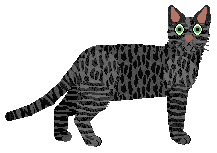 Loveshack Wściekły Pies — “Set”