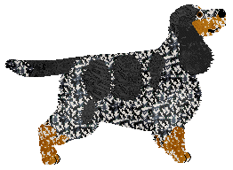 Energizing Free Weekend — “Aaron”