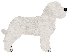 Energizing Colosseum — “Detlef”