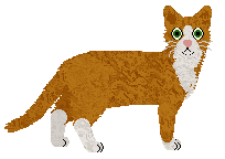 Nightwish Sapphire City — “Inverell”