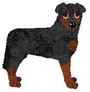 Profile image of Fleetrun Varen