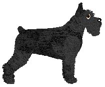 Sterne's Dark Moon Rising — “Puck”