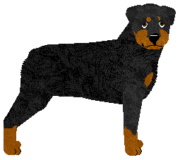 Profile image of Guardian's Ukarany przez Zeusa