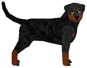 Profile image of Zephyr Streets of Gold