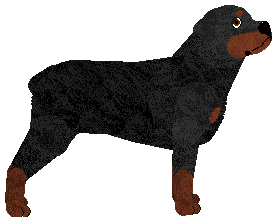 DeeOhGee's Los Angeles — “Kryśka”