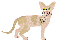 Glitterfeet's Speckled Hen — “Jetta”