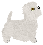 Geriatrix Glasgow Smile — “Fran”