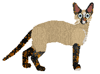 SECHE Lilianna — “Lilka”