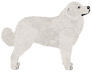 Polka Dłużniczka czasu — “Kira”