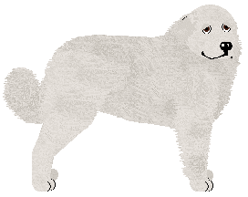 Profile image of Polka Dłużniczka czasu