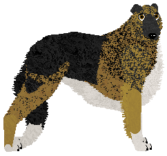 Profile image of Dragosani PIEŚŃ SŁONECZNA