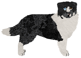 Profile image of Dragosani NAJLEPSZY TOWAR