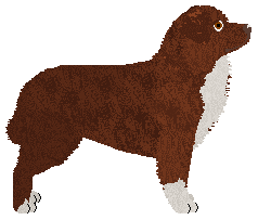 Dragosani SZCZĘSCIA MILIMETR — “Bruno”