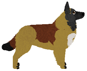 Dragosani MOUNT EVEREST of My Vertical World — “Mount Everest”