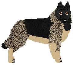 Profile image of Dragosani RAINY WEATHER