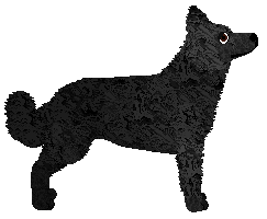 Flashburn Poznany Przypadkiem — “Ebur”