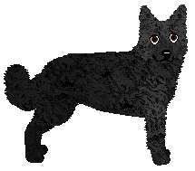 Profile image of Flashburn Poznany Przypadkiem