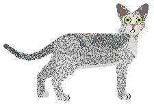 Profile image of Glitterfeet's Aluminium