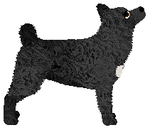 Wait For it' I WANT IT NOW — “Now”