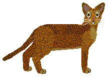 Glitterfeet's Royal Flush — “Flora”