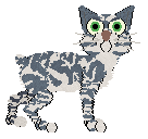 Arrow's Radiance — “Kouki”