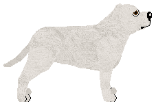 NES's Nestor in a crooked little town — “Nestor”