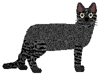 Glitterfeet's Ethical Conundrum — “Petty”