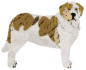 Dragosani Cyberpirate — “Rigger”