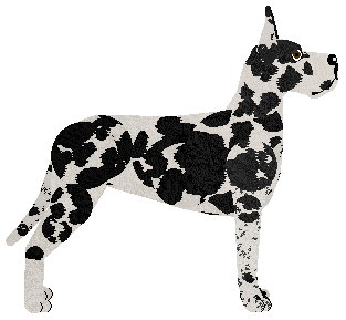 Dragosani FENIKS Z POPIOŁÓW — “Nismo”