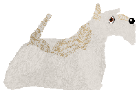 Cansas' Watermelon Sugar High — “Queenie”