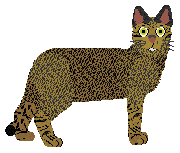 Glitterfeet's Hybrid Vigour — “Slang”