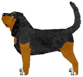 Dalheaf Sound The Bugle — “Bayard”