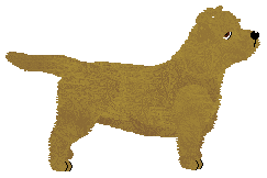 Cansas' Magic Goblin — “Garry”