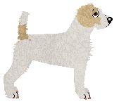 Cansas' Get You to the Moon — “Perry”