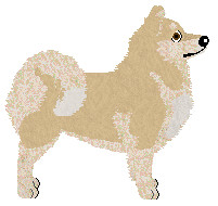 Dragosani IN UNIQUE WINGS — “Hexa”