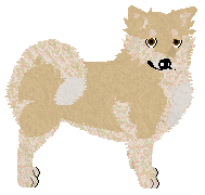 Profile image of Dragosani IN UNIQUE WINGS