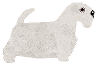 DeeOhGee's Been There Done That — “Casey”